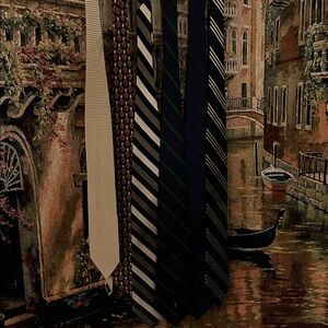 Elegant Assorted Pure Silk Ties Collection